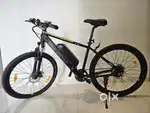 Electric cycle