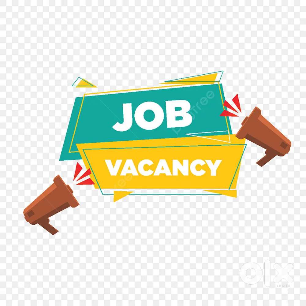 URGENT REQUIRMONT MALE AND FEMALE CANDIDATE