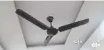 ORIENT CHOCOLATE BROWN CEILING FAN