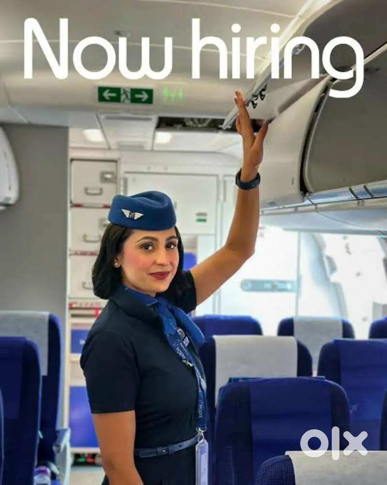Indigo Airlines jobs /Vacancy for Airport Ground staf / Driver / Crew