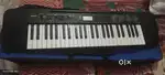 Casio keyboard CTK-245