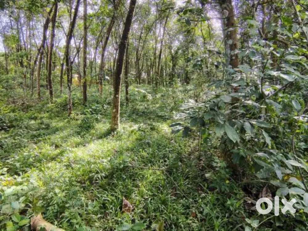 Property land of 32 cent