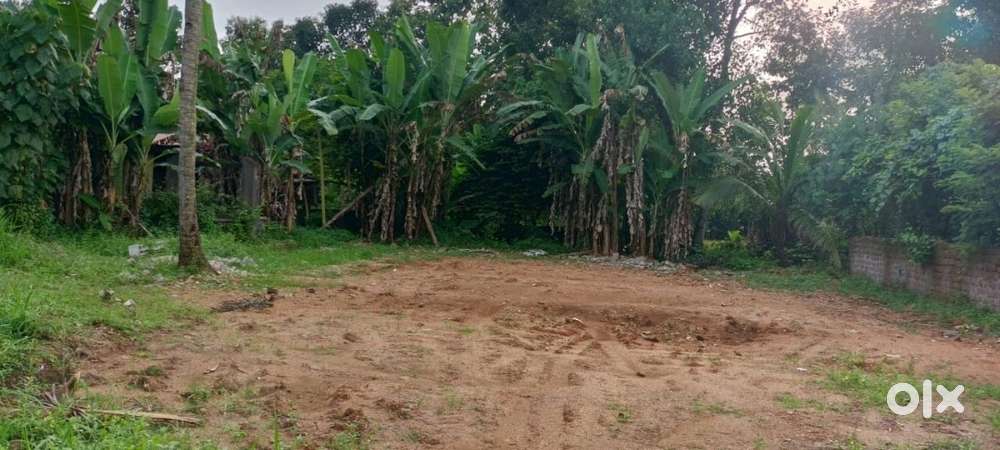 20 cent land for sale