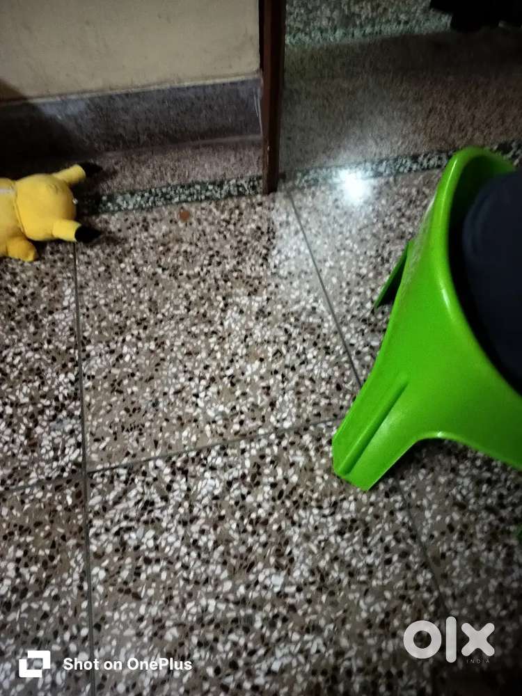 Indipendent girls losdge