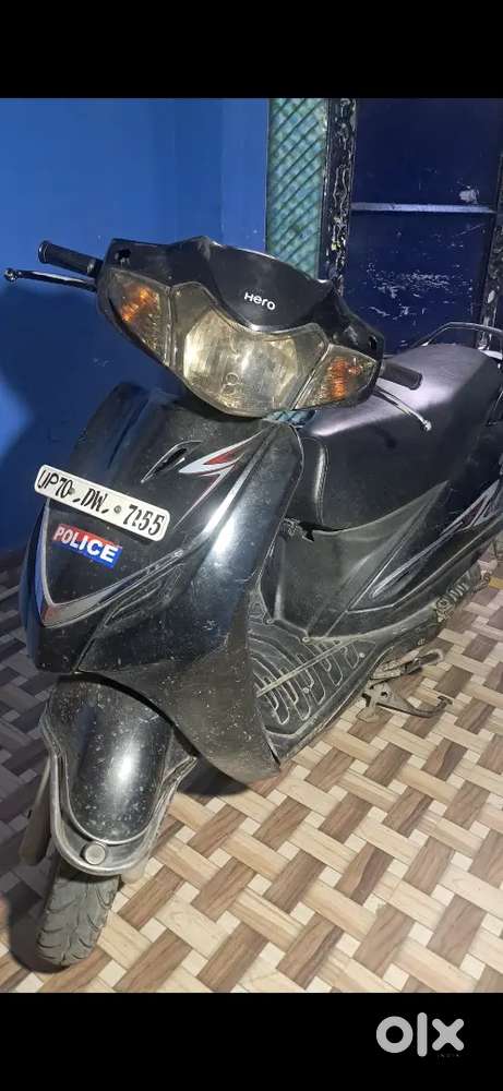 Scotty for sell