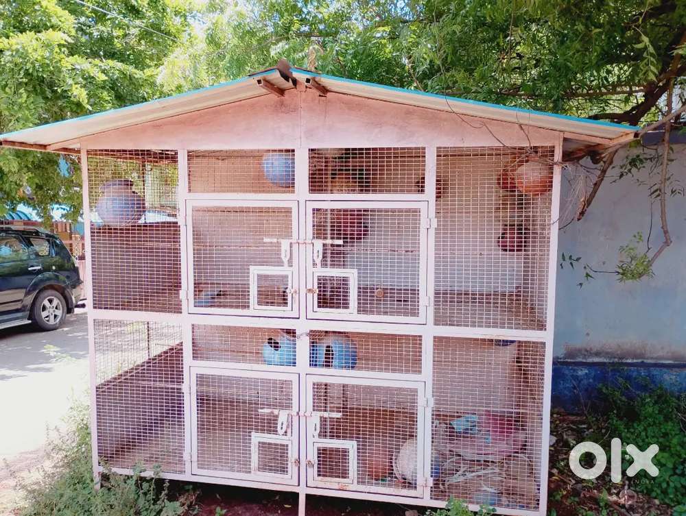 Lovebirds cage and chicken cage