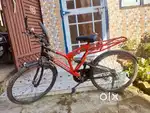 Sunbird Thunderbirds Cycle in Good Condition