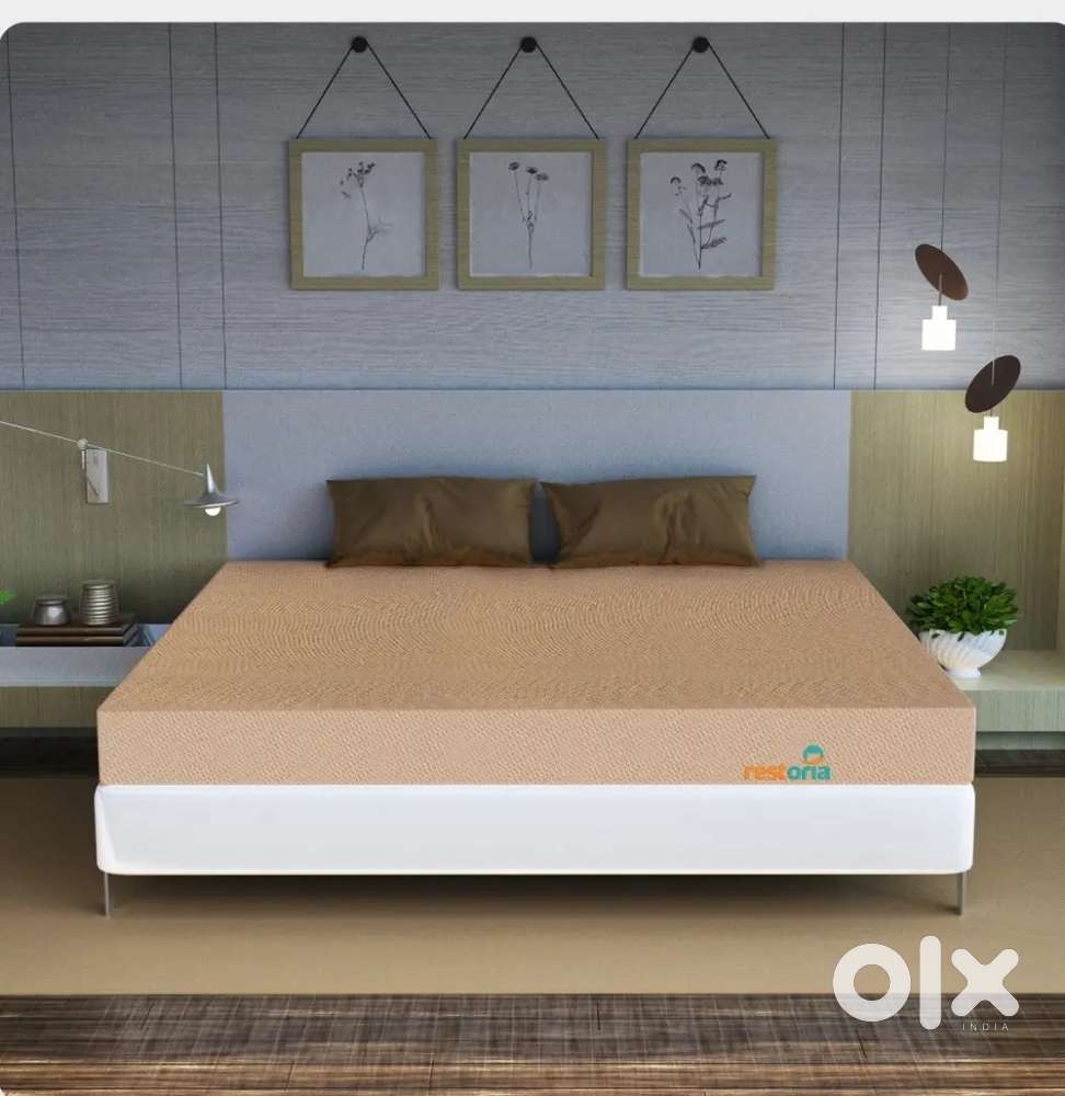 Restoria metres new one