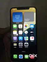 iPhone X's max  Ok condition and the display is original
