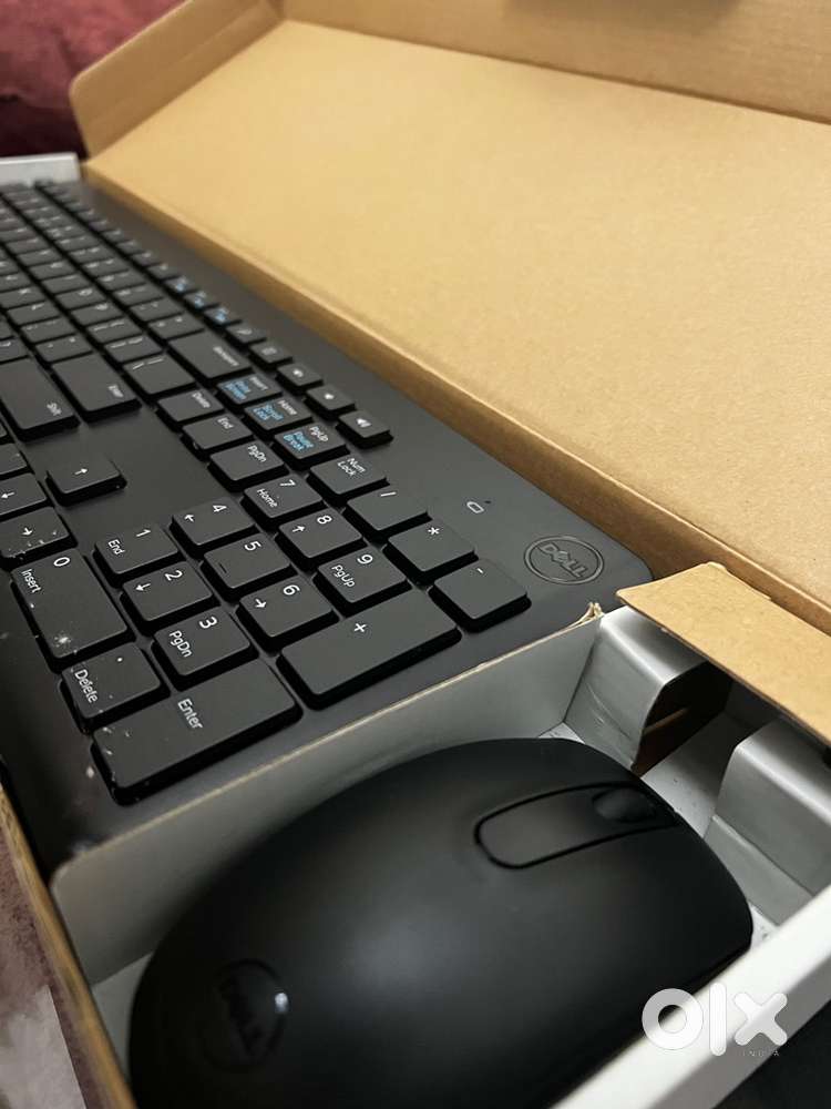 Brand new dell keyboard and mouse with zebronics gaming keyboard