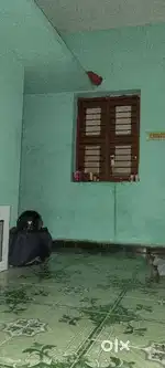 Rooms for bachelor's