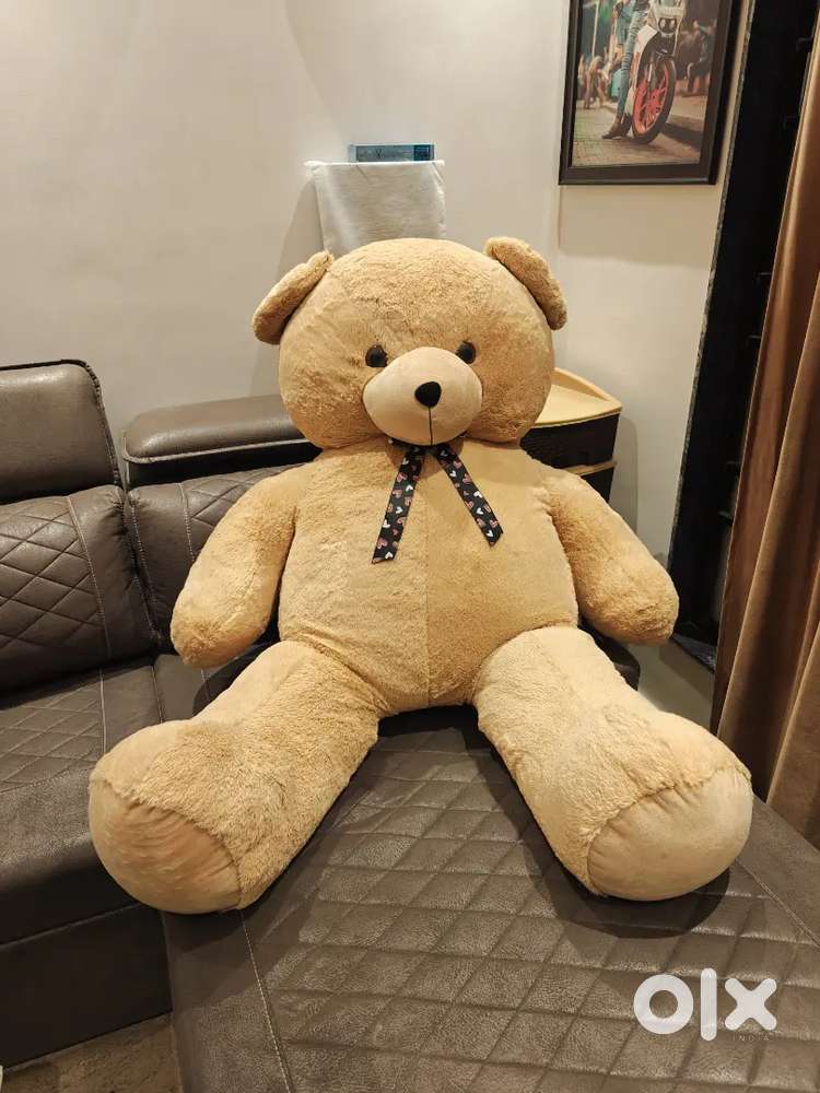Premium Teddy bear - 4 feet in very good condition