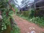 53 cent Land for sale near Aluva Kuttamassery