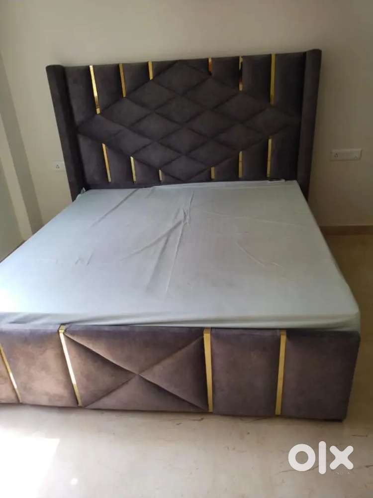 2 BHK fully furnished  luxurious