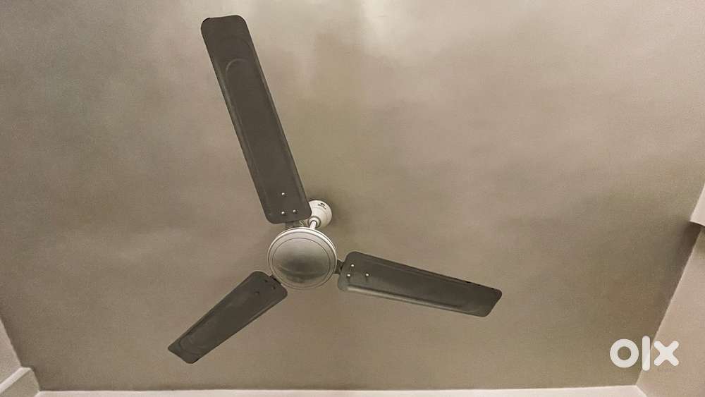 Set of 2 fans