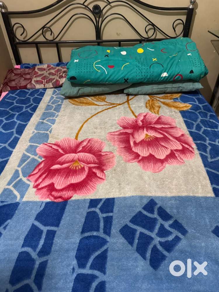 Requement 1 Female roommat