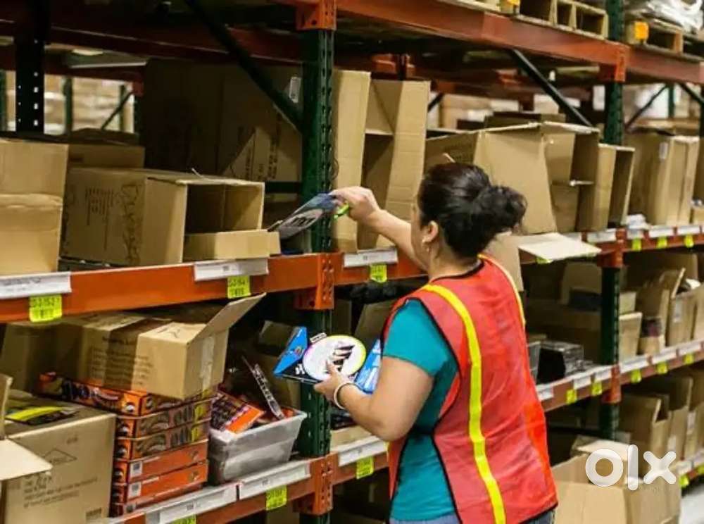 Picker packer - Pallavaram - Mary