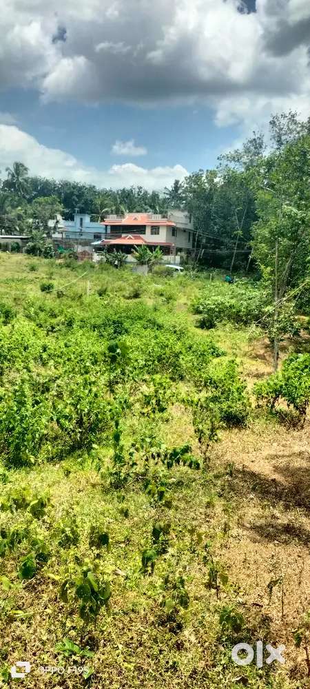250 cent land sale kaliyal alamcholai bus road sale thamilnadu