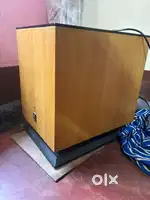 Sonodyne Powered subwoofer speaker