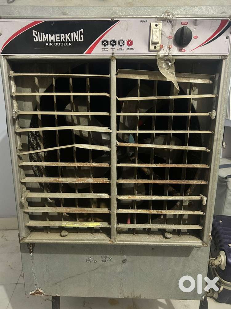 1.5 year old cooler big one