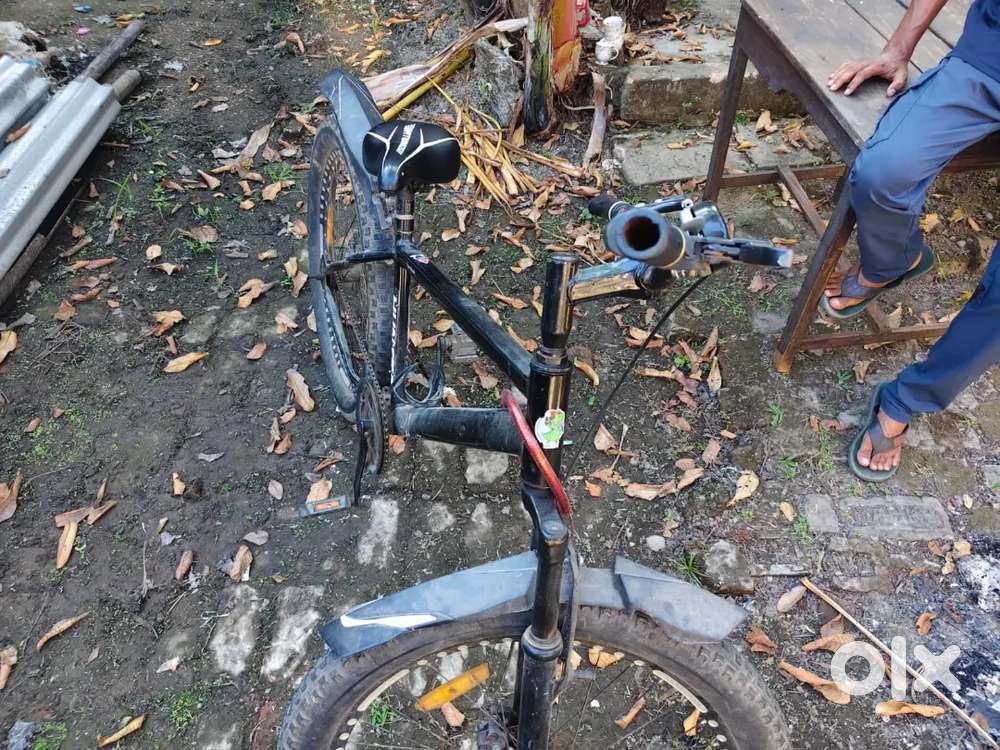 Phantom Batwings - BATMAN EDITION