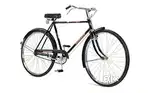 Padel cycle 6 month usable roaming with winter shawls