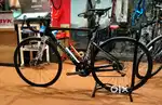 Marlin Road Bike