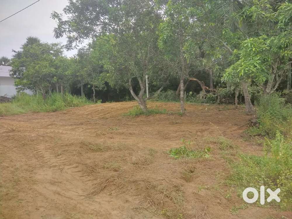 Setharamapuram Ongole haive checkpost opposite road