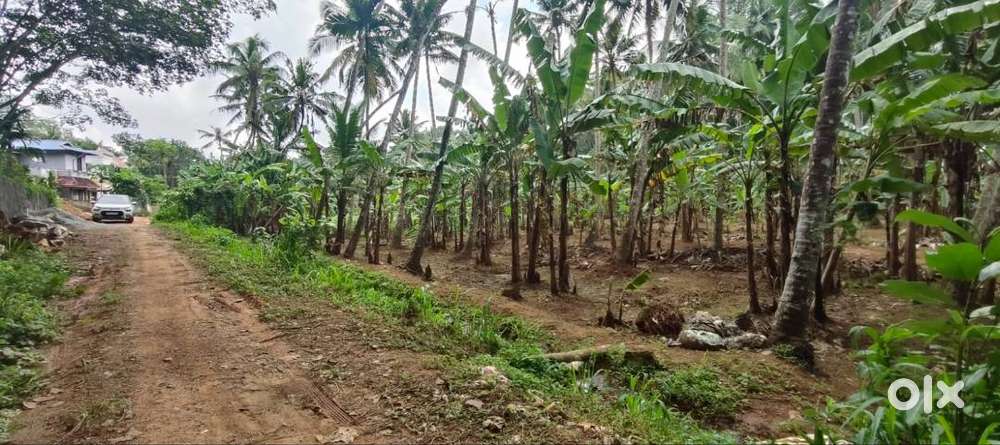 Plot for sale near Peyad