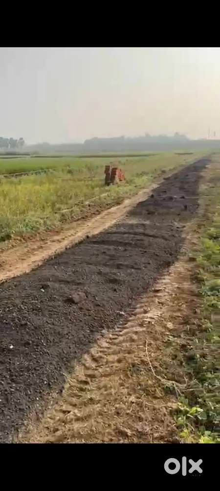 Bihata sarmera pe plot lijiy pahle peper or pojisan kesath registry