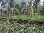 Main road touch 900sqm orchard property