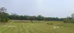 Land for sale 7 bigha plot west bengal bankura district