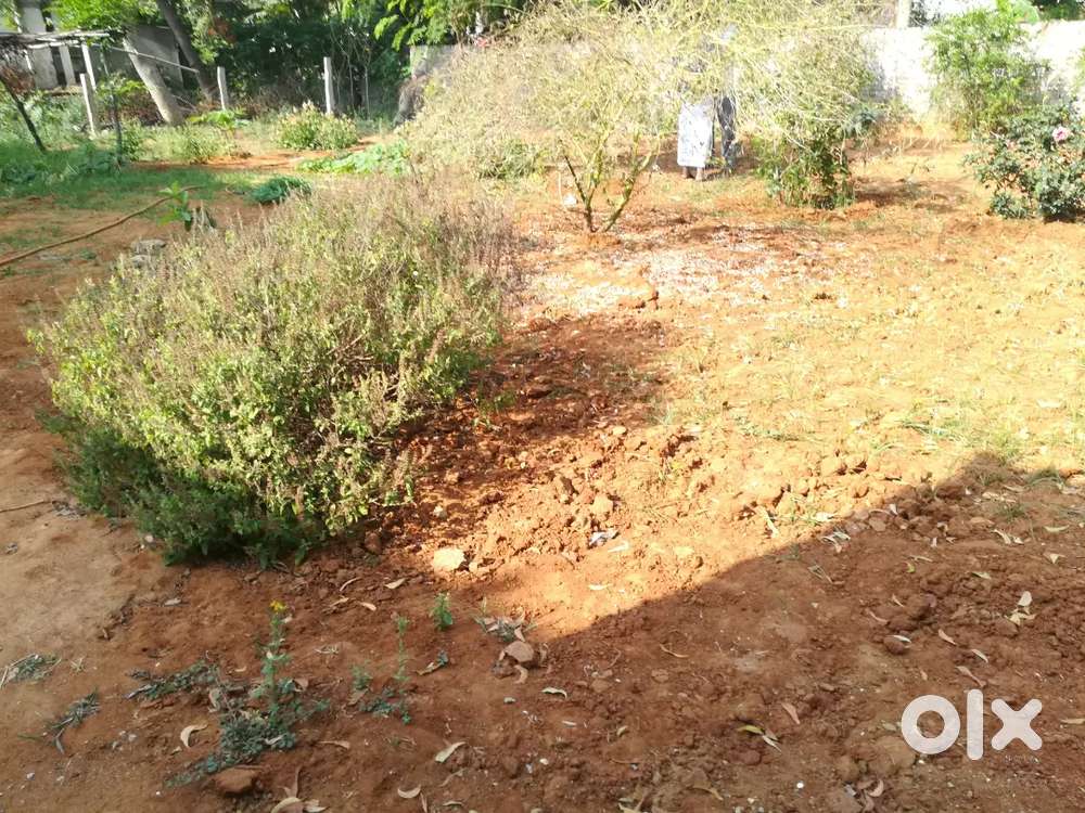 Residential place for sale - 60×42, Good Location