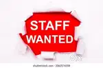 WANTED FEMALE STAFF