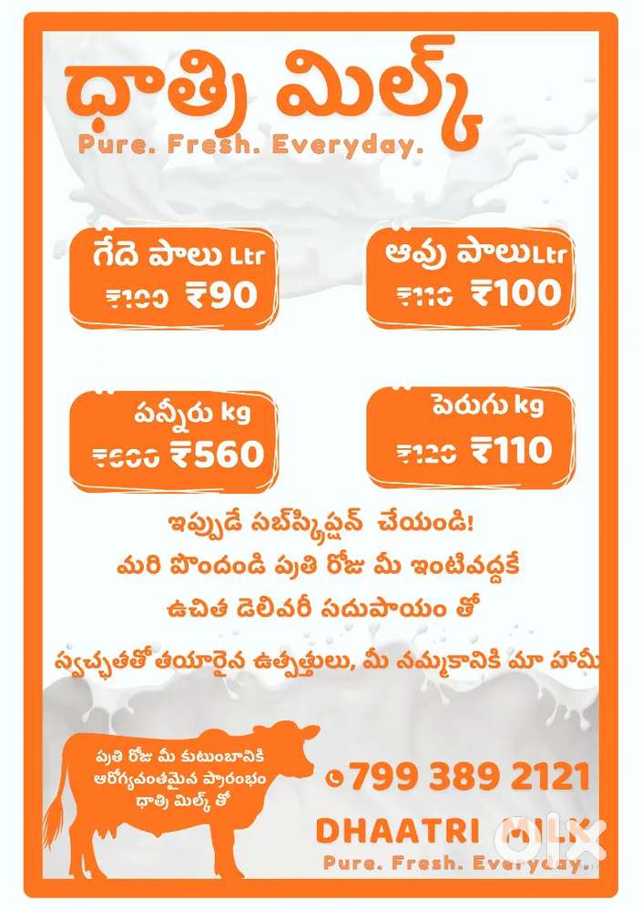 Sales and marketing executive