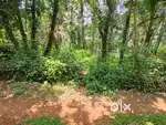 Plot for sale, suitable for  House, rented houses or godown