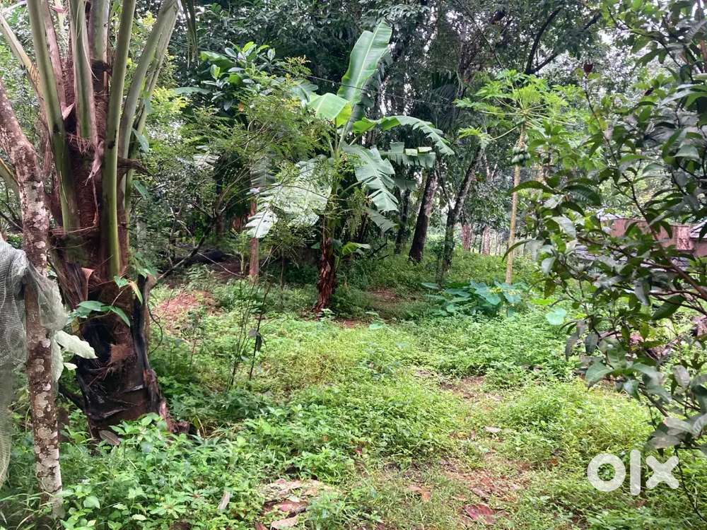 കൊട്ടാരക്കരയിൽ വസ്തു വില്പനക്ക്