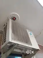 Ac perfect wonderful