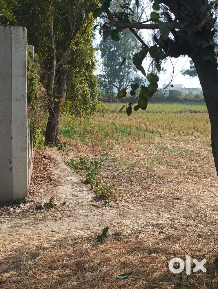 Near satsang ghar luhara ludhiana