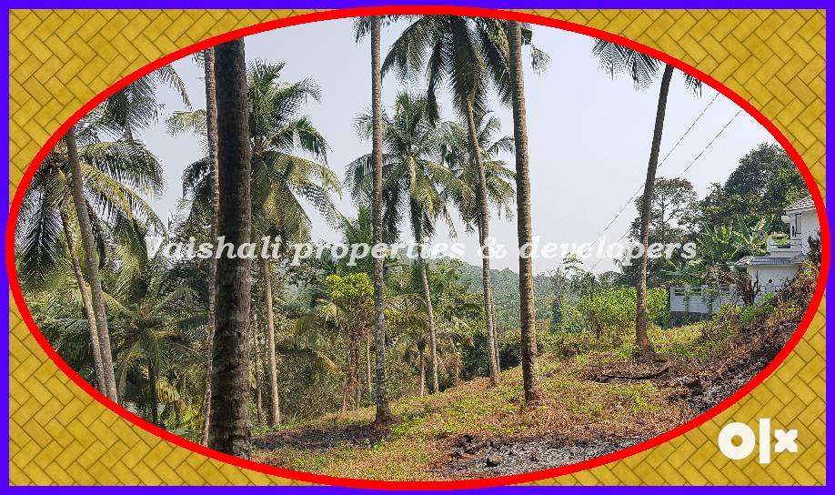 30 cents Residential Plot for SALE inDevagiri, Calicut Medical College