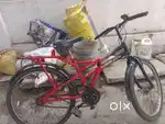 Hercules cycle for men
