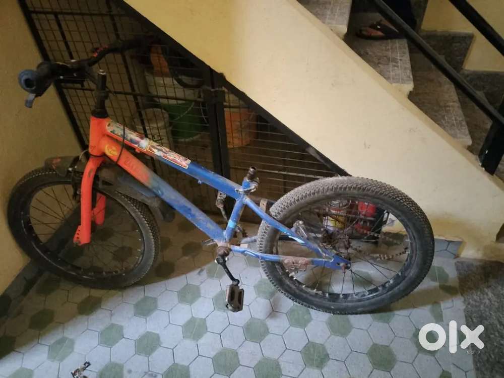 Just 18m months old cycle with brand new tyres and in good condition