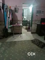 One lady roommate required