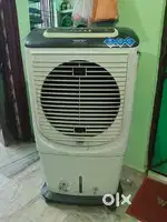 Maharaja whiteline coolar