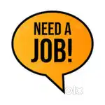 I need a part time job or night job
