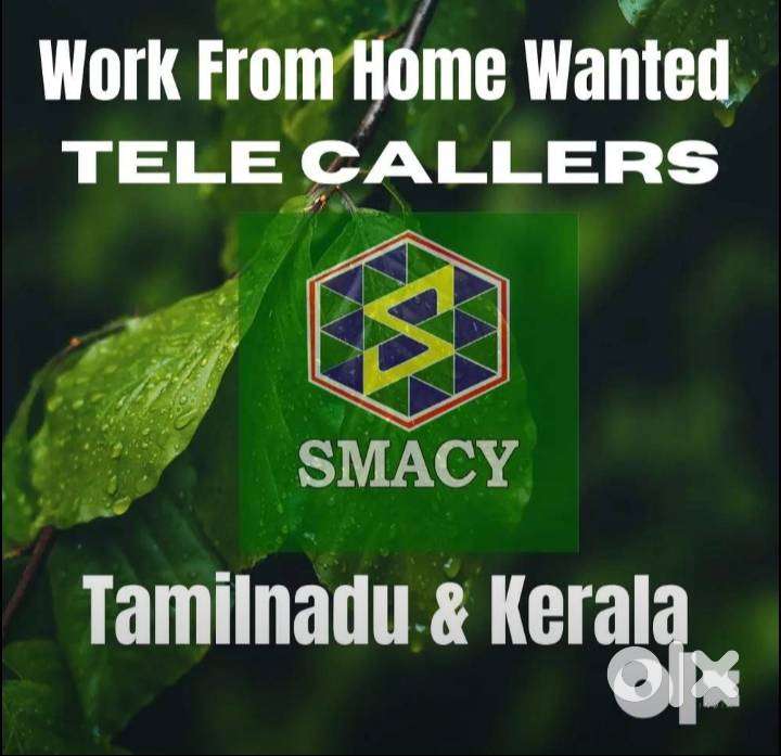 Female Telecallers WFH Job Wanted.
