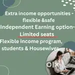Work from anywhere 20k- 30k monthly