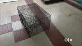 Pets accessories