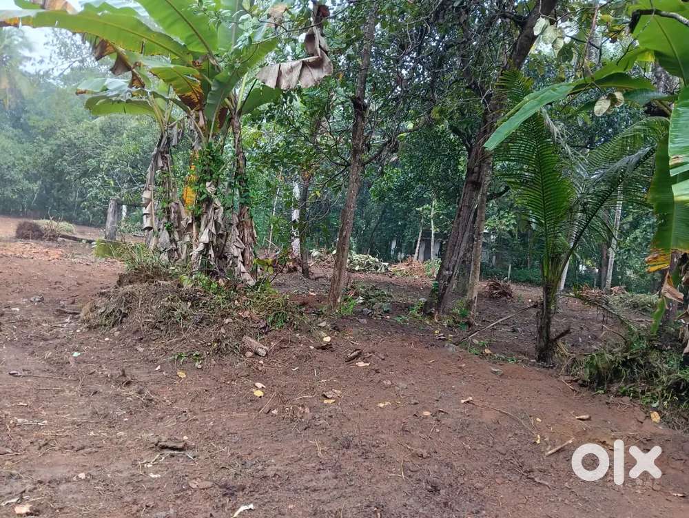 65cents land in parippally