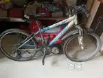 Gear cycle